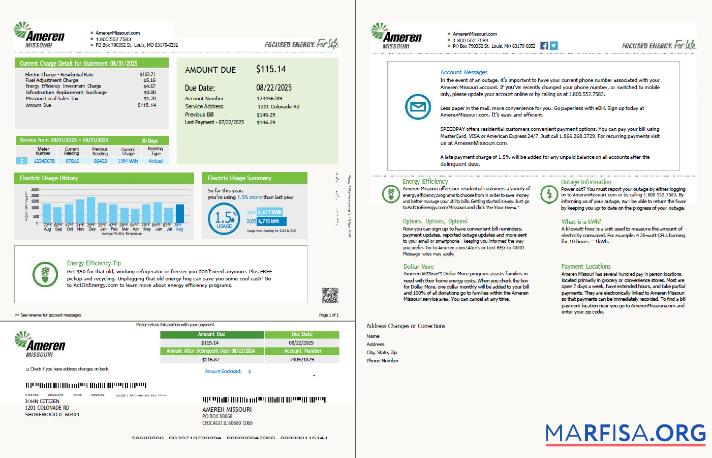 Downloadable USA Ameren Missouri utility bill template in Word and PDF formats, 2 pages